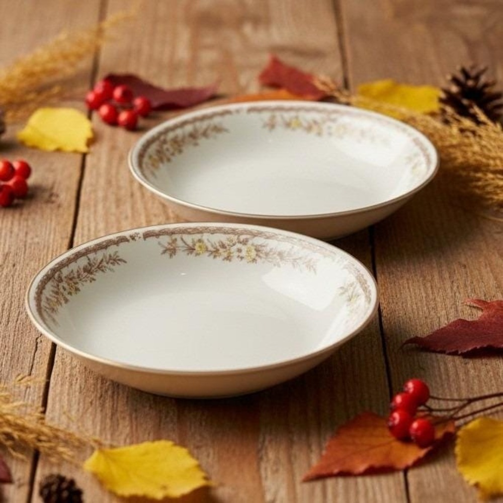 Ekco International Golden Autumn Pasta Bowls, Set of 2, Vintage Japan Bone China